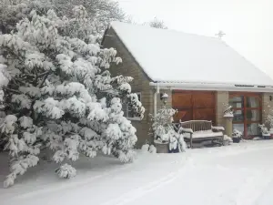 The Studio