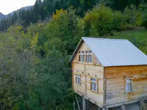 Hotel Voisa/სასტუმრო ვოისა