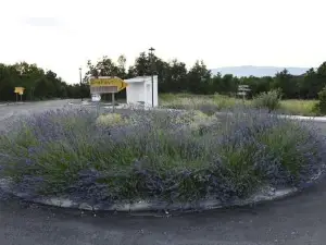 Great Place for Relaxation