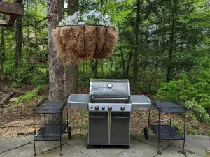 Great Family Cabin in the woods on a lake.
