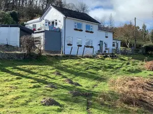 BroomBush
