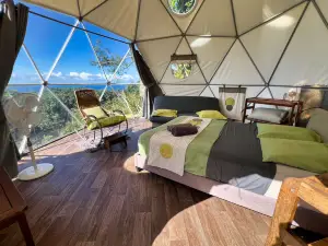 Bubble Dome Village