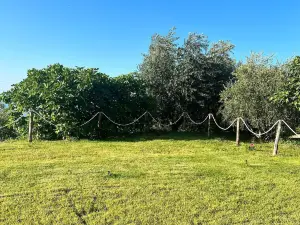 Verde Matematico