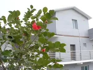 Jindo Haeoreum Pension
