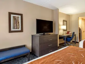 Comfort Suites Alpharetta/Roswell - Atlanta Area