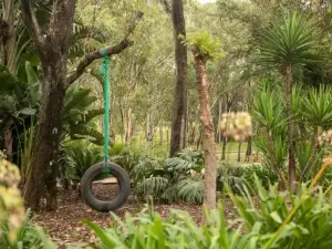 Fig Tree Luxury Guest House