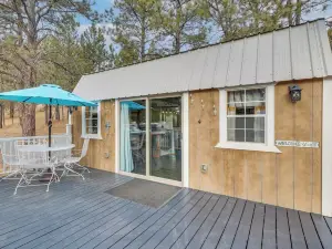 Cozy Tiny Cabin with Near Mount Rushmore!