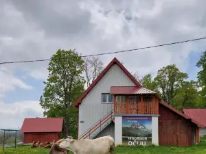 Domaćinstvo Krstajić - Rural Holiday