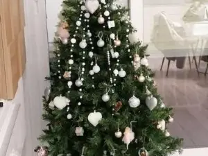 La Conchiglia, Air Conditioning, Parking