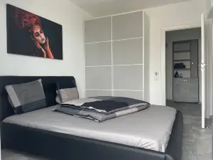 Lakeview 2 Room Penthouse Rooftop W15