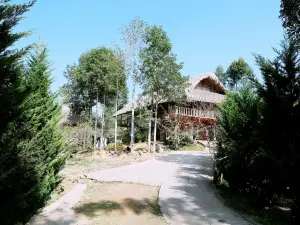 Sa House Bac Ha