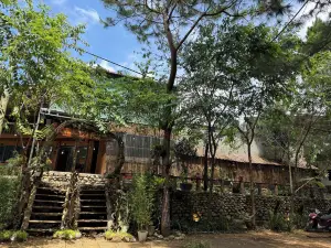 Thanh Binh Homestay Mang Den 47TC