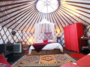 Ecolodges en Provence