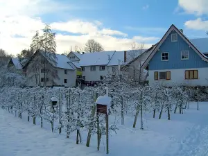 Hotel Faxe Schwarzwälder Hof