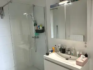 Apartment (100 m²), 1 Schlafzimmer und 1 eigene Badezimmer in Hoboken