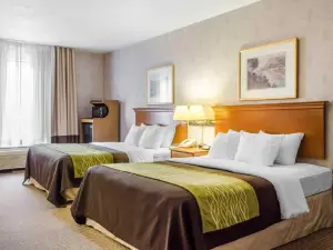 Comfort Inn