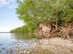Kranichrast am Roebeler Stadthafen