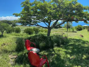 Studio Kohala Big Island Ocean View