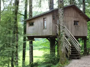 Domaine de Syam - Gîtes, Chambres d'hôtes & Cabanes