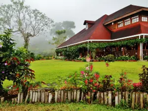 Finca Hamburgo la Ruta del Cafe