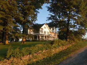 메이플 셰이드 B&B