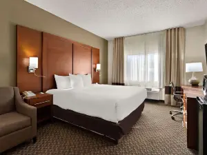 Comfort Suites University