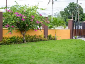 Centrally Located Guest Apartments