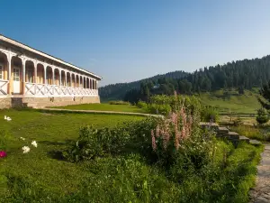 Nedous Hotel Gulmarg