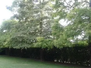 Posada del Leñatero Ezeiza