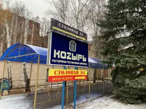 Kozyr