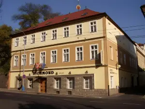 Hotel Richmond Teplice