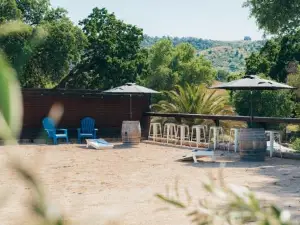 Wine Country Modern Farmhouse with Heated Pool, Hot Tub, Cybertruck