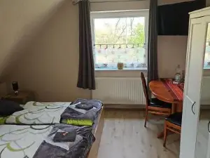 Möwennest im Umland Hamburgs