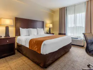 Comfort Suites Gastonia - Charlotte