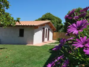 Agriturismo la Valle di Ceri