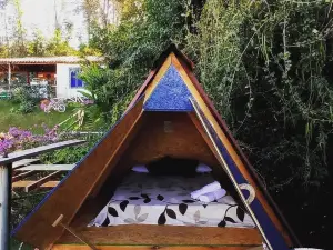 Aqui No Camping
