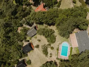 Cabañas Metreñehue - Parque Metreñehue