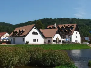 Hotel Vír