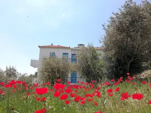Apartments Jota