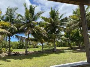 David's Fale, Alofi, Niue