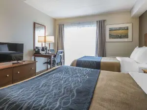 Comfort Inn