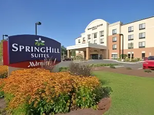 SpringHill Suites Charleston North/Ashley Phosphate