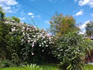 Casa Hudie Campestre