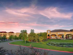 Great Wolf Lodge Chicago/Gurnee