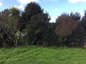 Te Arai Beach Casa di Lana - Renovated Woolshed