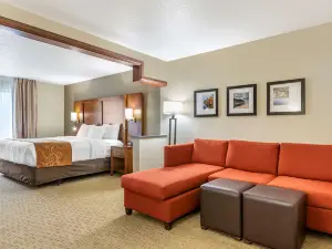 Comfort Suites Grand Rapids North
