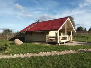 Cottage in Kirillovo