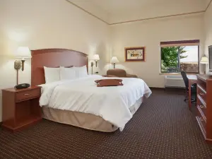Hampton Inn & Suites Parker