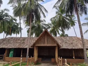 Coconut Tree Guest House