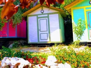 Social Camping JAL